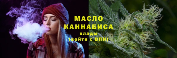 дмт Инта