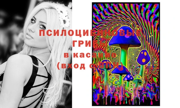 герыч Зеленокумск